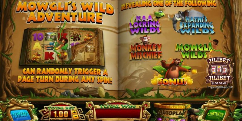 Easy to understand rules of the jungle slot game