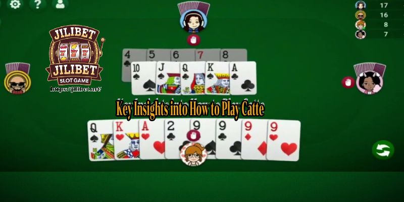 Key Insights into How to Play Catte