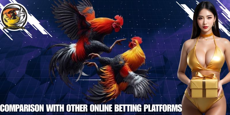 Comparison with Other Online Betting Platforms