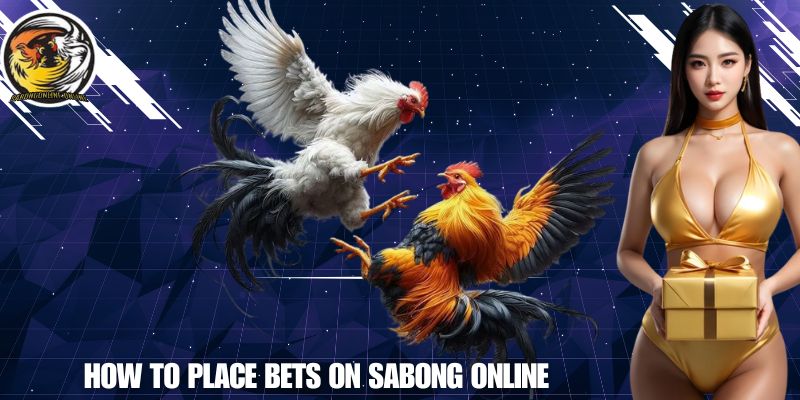 How to Place Bets on SABONG ONLINE