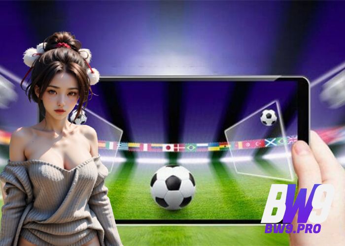 A Deep Dive into the BW9 Sportsbook Platform
