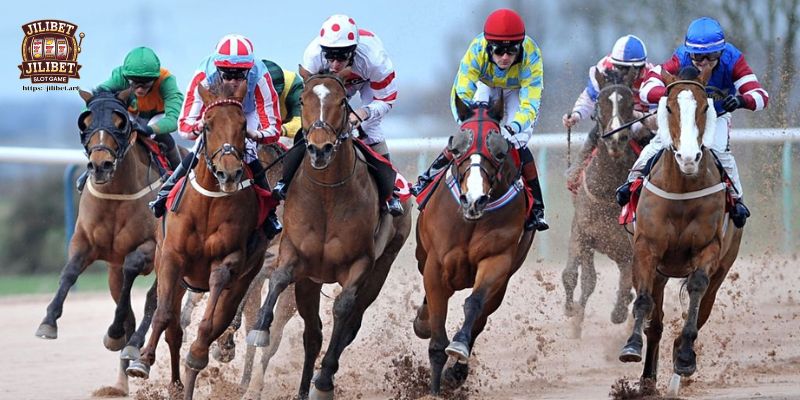 Navigating the World of Horse Race Betting with MNLWIN