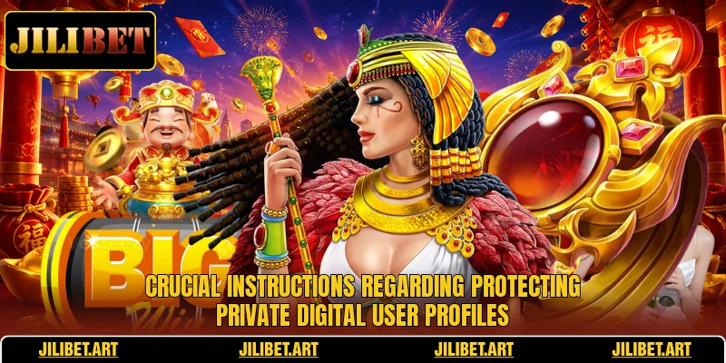 Crucial instructions regarding protecting private digital user profiles