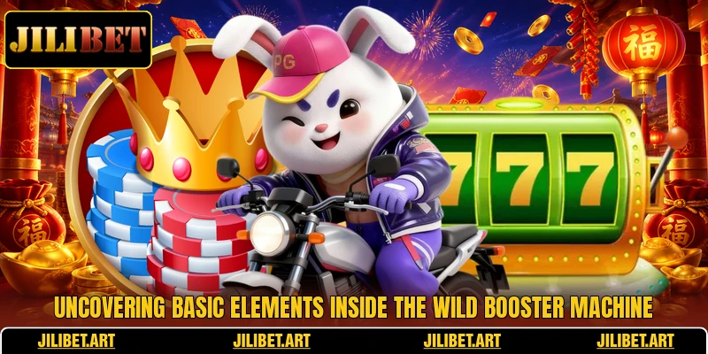 Uncovering basic elements inside the wild booster machine